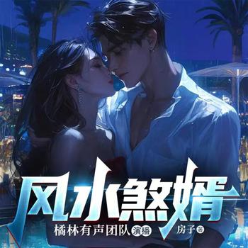 风水煞婿