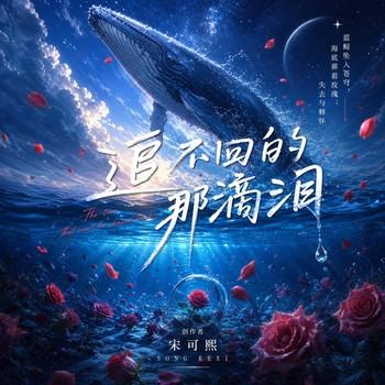追不回的那滴泪