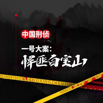 中国刑侦一号案：悍匪白宝山