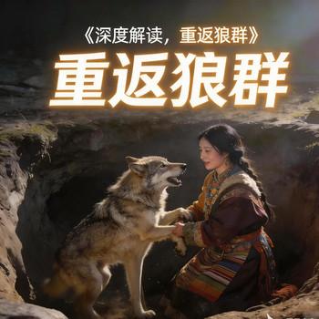 重返狼群解读