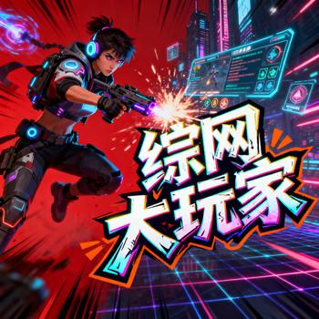 综网大玩家