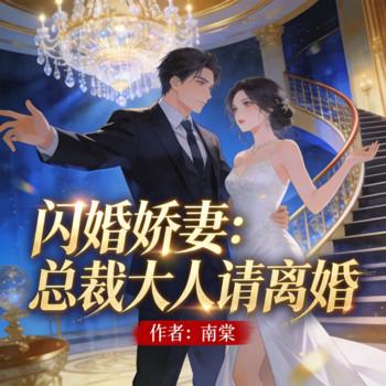 闪婚娇妻：总裁大人请离婚