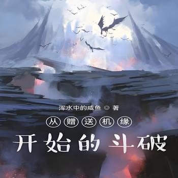 从赠送机缘开始的斗破