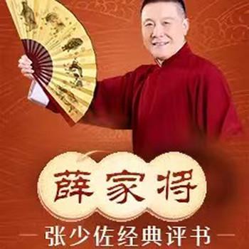 张少佐评书：薛家将