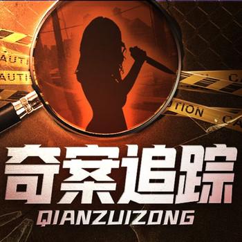 老王讲大案：奇案追踪