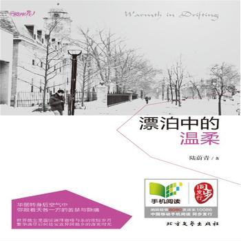 漂泊中的温柔-触动海外华侨的励志读物