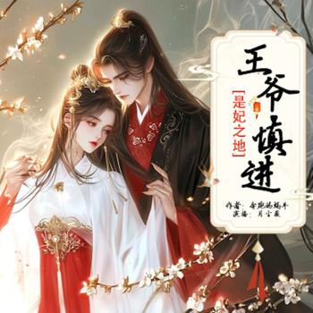 是妃之地：王爷，慎进·