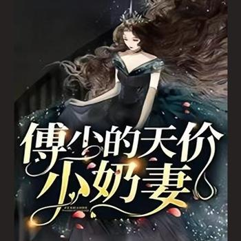 傅少的天价小奶妻
