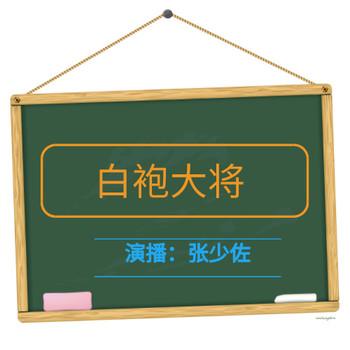 张少佐评书：白袍大将