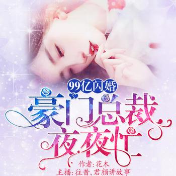 99亿闪婚：豪门总裁夜夜忙(多人剧)