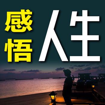 感悟人生1