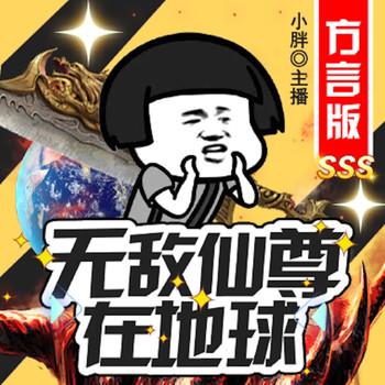 无敌仙尊在地球方言版