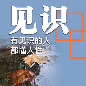见识