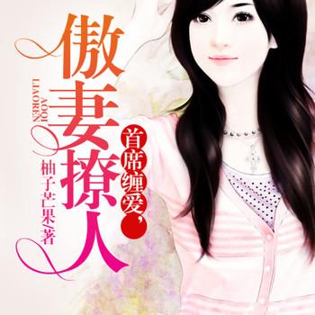 家有傲妻，首席追妻进行