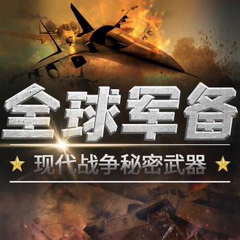 全球军备