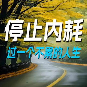 停止内耗：过一个不累的人生