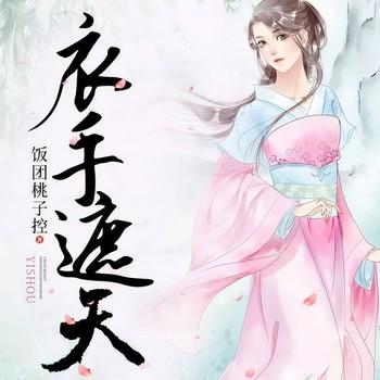 衣手遮天(多人剧)