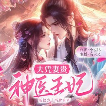 夫凭妻贵：神医王妃