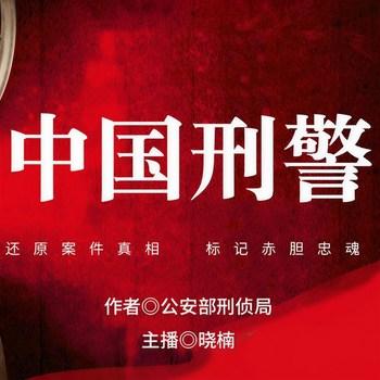 中国刑警(多人剧)