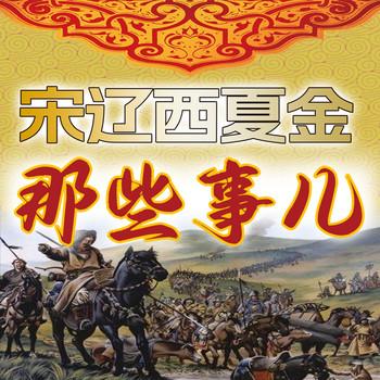 宋辽西夏金那些事儿
