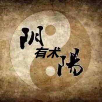 阴阳有术