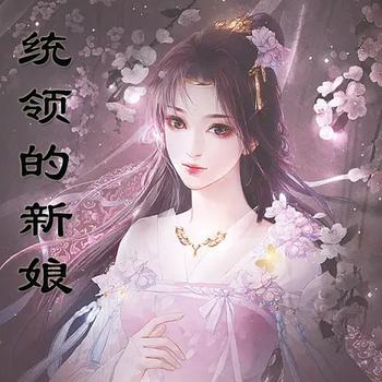 统领的新娘