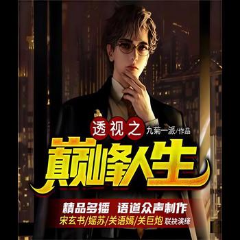 透视之巅峰人生(多人剧)
