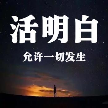 活明白：允许一切发生
