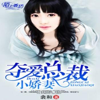 夺爱总裁小娇妻