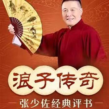 张少佐评书：浪子传奇