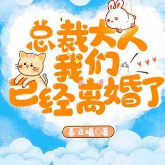 总裁大人我们已经离婚了