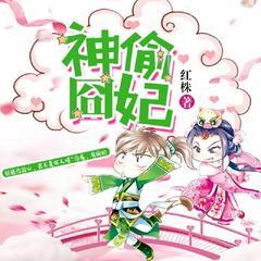 神偷囧妃