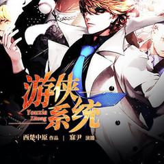 游侠系统