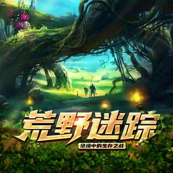 荒野迷踪：绝境中的生存之战