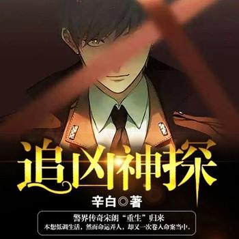 追凶神探(多人剧)