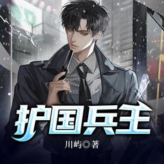 护国兵王