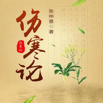 伤寒论(多人剧)