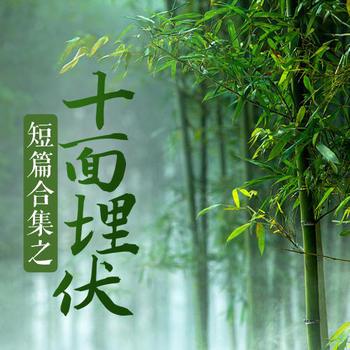 评书十面埋伏