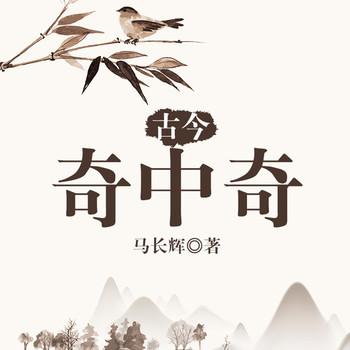 古今奇中奇(多人剧)