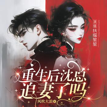 重生后沈总追妻了吗
